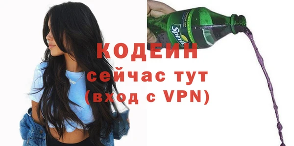 молекула духа Чердынь