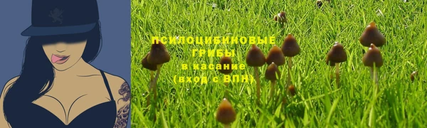 mdpv Волосово